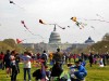 Washington DC mit Top-Events rund ums Kapitol Cherry Blossom (c) National Cherry Blossol Festival