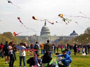 Washington DC mit Top-Events rund ums Kapitol Cherry Blossom (c) National Cherry Blossol Festival