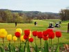 Anspruchsvolles Golfen bei Galena, Illinois Eagle Ridge Resort & Spa (c) Eagle Ridge Resort & Spa