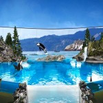 Seaworld San Diego – Orca Encounter (c) SeaWorld Parks & Entertainment
