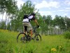 Bike-Dorado Aspen und Snowmass MTB Aspen (c) Brett Friel