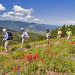 Wildblumen-Wanderung (c) Colorado TO