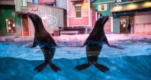 Georgia lockt 2016 mit neuen Attraktionen und Angeboten