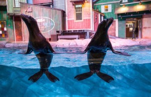 Georgia lockt 2016 mit neuen Attraktionen und Angeboten