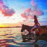 Horse Surfing (c)   Bradenton Area Convention and Visitors Bureau