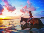 7 Abenteuer-Erlebnisse in der Palma Sola Bay Horse Surfing (c) Bradenton Area Convention and Visitors Bureau