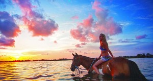 7 Abenteuer-Erlebnisse in der Palma Sola Bay Horse Surfing (c) Bradenton Area Convention and Visitors Bureau