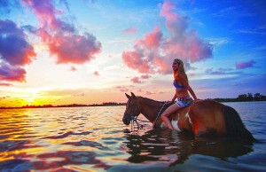 7 Abenteuer-Erlebnisse in der Palma Sola Bay Horse Surfing (c) Bradenton Area Convention and Visitors Bureau