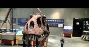 T.Rex „Scotty“ wird Wahrzeichen Saskatchewans