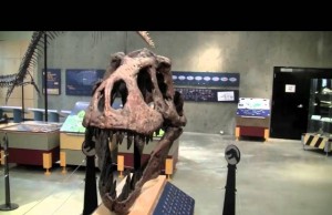 T.Rex „Scotty“ wird Wahrzeichen Saskatchewans