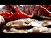 Bay Ferries übernimmt die Verbindung Portland – Yarmouth