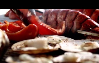 Bay Ferries übernimmt die Verbindung Portland – Yarmouth