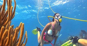 Familienurlaub mit Lerneffekt auf den Florida Keys KeysSnuba (c) Bob Care Florida Keys News Bureau