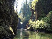 Oregons spektakuläres Naturphänomen schneller und einfacher erleben