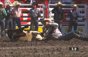 Calgary Stampede: Aufsatteln zum größten Freiluft-Rodeo der Welt