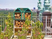 Fairmont präsentiert zehn neue Bienenhotels Bienen Hotel @ Plaza New York (c) FRHI