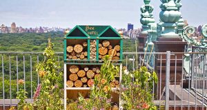 Fairmont präsentiert zehn neue Bienenhotels Bienen Hotel @ Plaza New York (c) FRHI