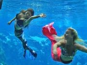 Florida: Tanzende Meerjungfrauen,Tümmler und quietschender Strand Weeki Wachee Meerjungfrauen (c) VF