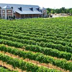 Delaney Vineyards © Grapevine Visitor and Convention Bureau