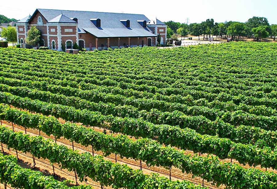 Delaney Vineyards © Grapevine Visitor and Convention Bureau