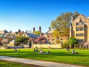 College-Casting in den USA Yale Universität © art of travel