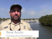 Kajaktouren bieten einen Blick auf die Natur St. Pete/Clearwater