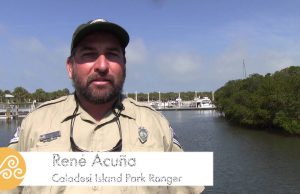 Kajaktouren bieten einen Blick auf die Natur St. Pete/Clearwater