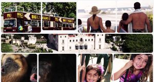 Miami Attractions Month im Oktober