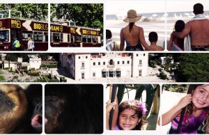 Miami Attractions Month im Oktober