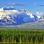 Aussichten (c) Fasten Your Seatbelts