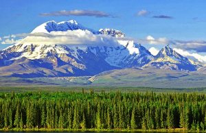 Individuelle Führungen durch Yukon und Alaska Aussichten (c) Fasten Your Seatbelts