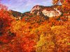 North Carolina: Im Rausch der Farben Grandfather Mountain, NC (c) Visit NC