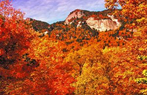 North Carolina: Im Rausch der Farben Grandfather Mountain, NC (c) Visit NC