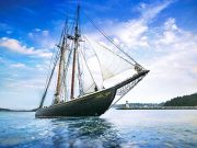 Mehr als 40 Großsegler zu Besuch in Nova Scotia Bluenose (c) Nova Scotia Tourism