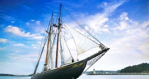 Mehr als 40 Großsegler zu Besuch in Nova Scotia Bluenose (c) Nova Scotia Tourism