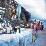 SeaWorld Orlando – Antarctica (c) SeaWorld Orlando