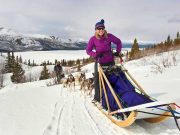 Mit Hauser Exkursionen Kanadas 150. Geburtstag feiern Schlittenhundefahrt (c) Archbould / Hauser Exkursionen