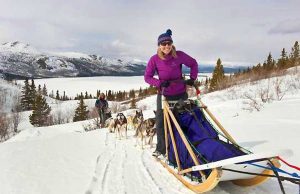 Mit Hauser Exkursionen Kanadas 150. Geburtstag feiern Schlittenhundefahrt (c) Archbould / Hauser Exkursionen