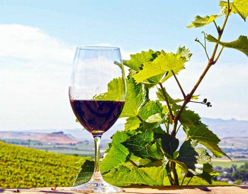 Idaho: Von der Kartoffel- zur Weinnation Idaho Wein (c) John Poimiroo / Idaho Tourism