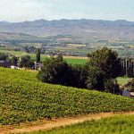 Snake River Weinregion (c) John Poimiroo / Idaho Tourism