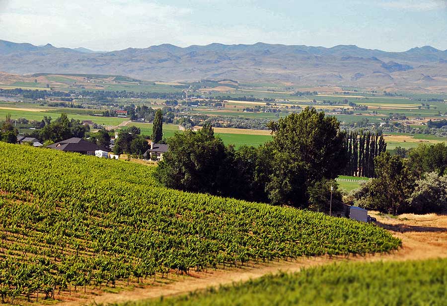 Snake River Weinregion (c) John Poimiroo / Idaho Tourism