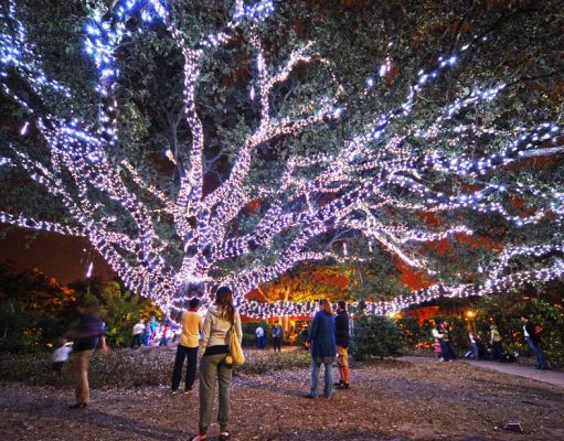 Festliche Traditionen aus Louisiana