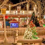 Traum mit glitzernden Lichtern (c) ZooLights Stone Zoo