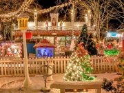 Winterliche Aktivitäten in Boston Traum mit glitzernden Lichtern (c) ZooLights Stone Zoo