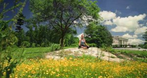 Waldbaden, Nachtgoggeln und Tai Chi-Wandern