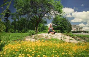 Waldbaden, Nachtgoggeln und Tai Chi-Wandern