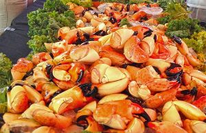 Stein-Krabben-Saison in Naples, Marco Island und den Everglades Stone Crab (c) Naples, Marco Islands, Everglades CVB