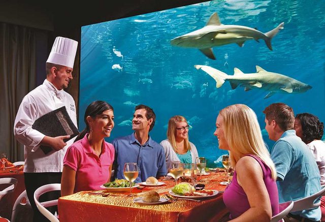 Sharks Underwater Grill Restaurant (c) SeaWorld