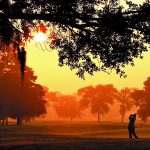 Golf Club © Greater Houston Convention and Visitors Bureau