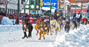 Iditarod! Neun Tage durch die eisige Tundra von Alaska Iditarod (c) ACVB
